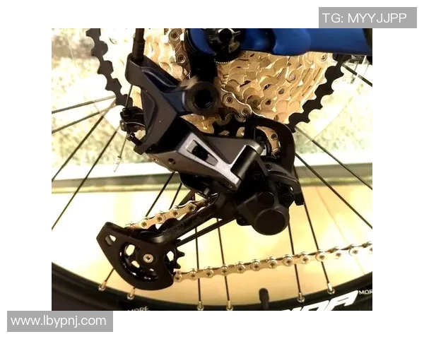 探索美利达挑战者800的极限性能与骑行乐趣体验